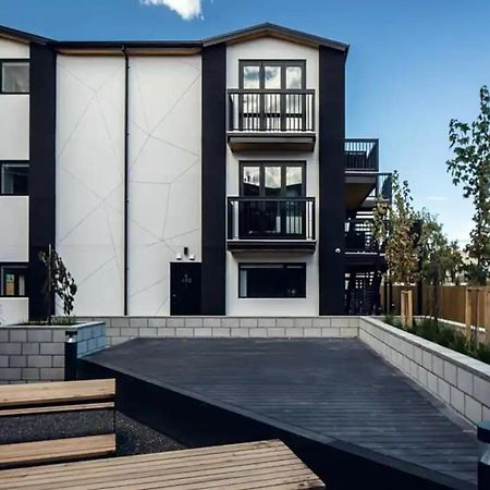 Cozy 1Br Apartment With Hagley Park View Christchurch Zewnętrze zdjęcie