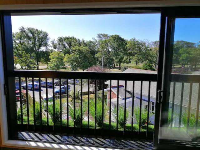Cozy 1Br Apartment With Hagley Park View Christchurch Zewnętrze zdjęcie